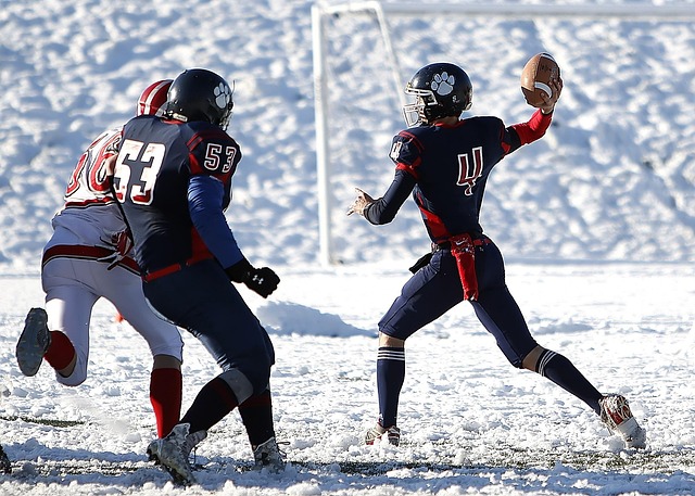 展示了如何 展示了如何