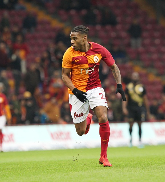 投向其他目 投向其他目